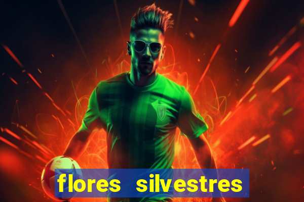 flores silvestres desbravadores desbravadores 25